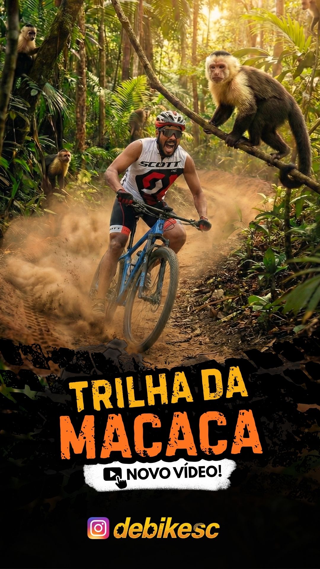 Imagem de Trilha da Macaca